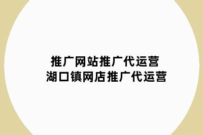 推广网站推广代运营 湖口镇网店推广代运营